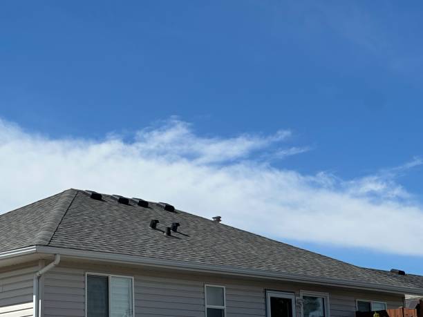 Roof Coating Services in Ridgefield Park, NJ